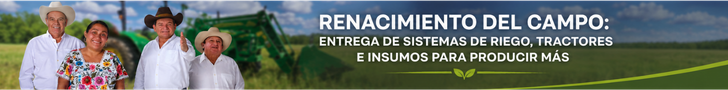 Publicidad
