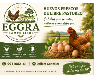 Publicidad