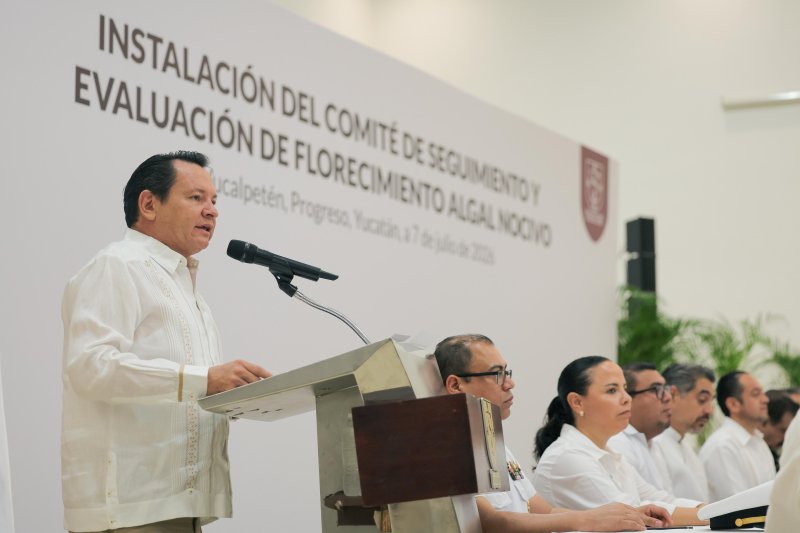 Playas de Yucatán, vigiladas y seguras: Gobierno del Renacimiento Maya activa monitoreo permanente contra la marea roja.