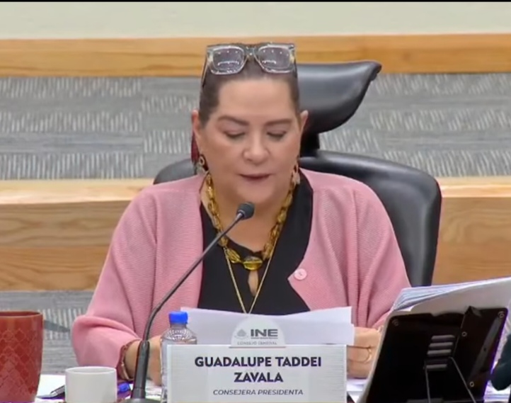 Guadalupe Taddei anuncia su renuncia a la presidencia del INE